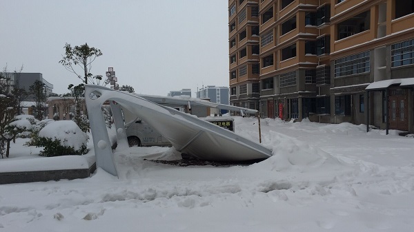 被積雪壓塌的車棚都有什么特點？